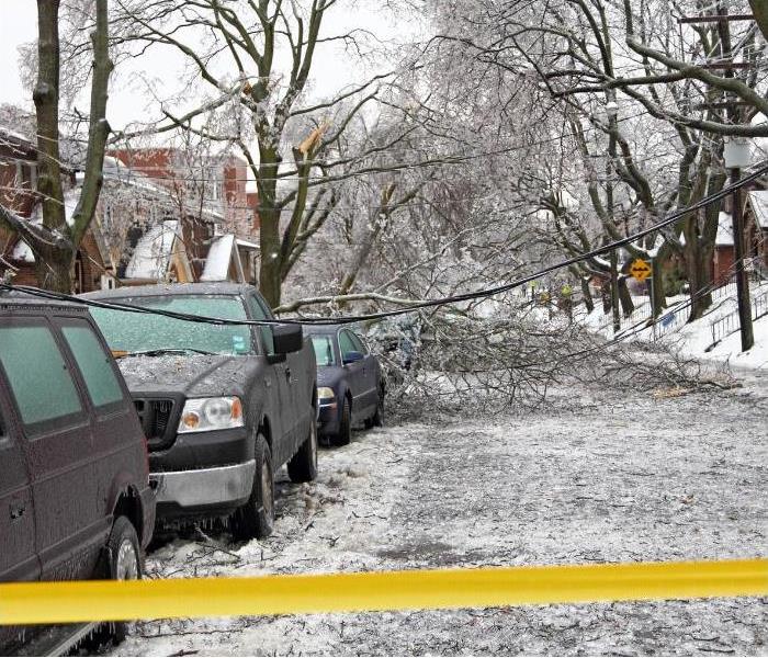 residential street lined with cars and trucks after an ice storm